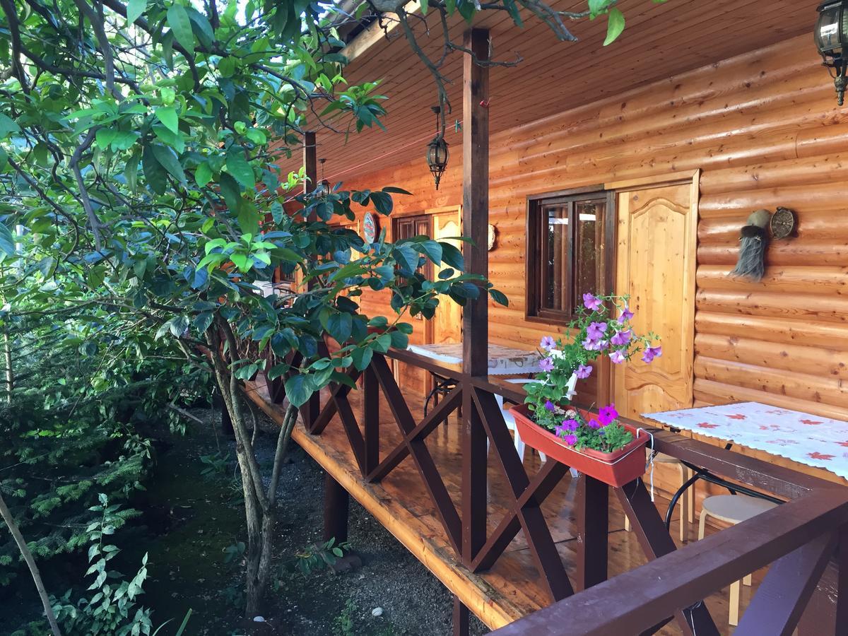 Guest House Nana Гагра Екстериор снимка