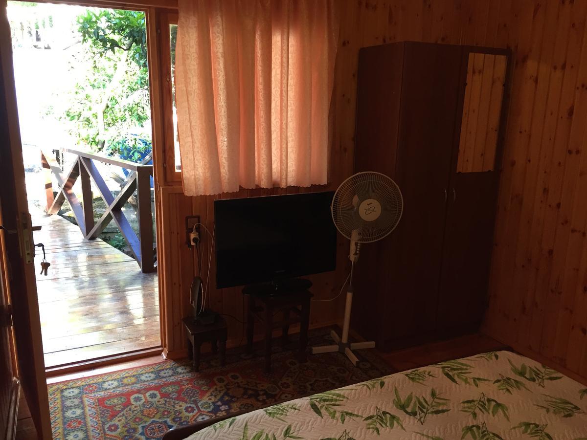 Guest House Nana Гагра Екстериор снимка