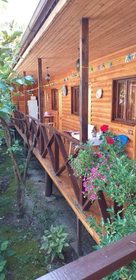 Guest House Nana Гагра Екстериор снимка